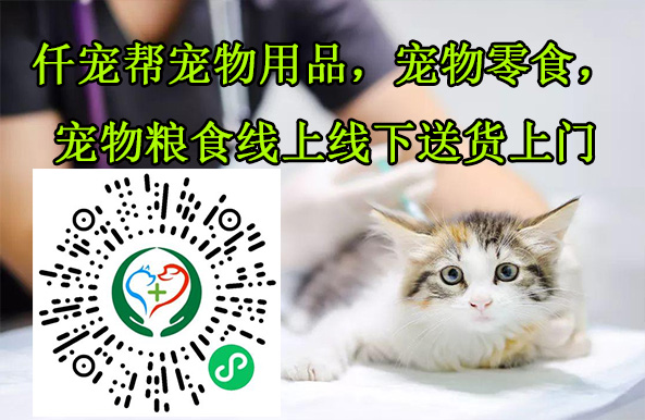 邢臺(tái)寵物醫(yī)院