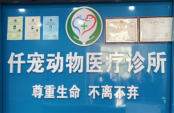 邢臺(tái)寵物醫(yī)院